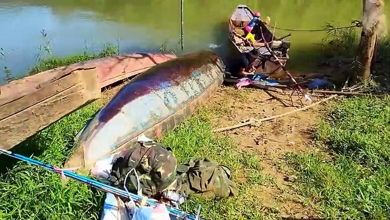 Sang Volg - Bắt Con Cá Rừng - 24h Câu Cá  Sang Vlog