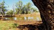 The Bulga, Gunnedah, NSW - February 22, 2023- Farmonline