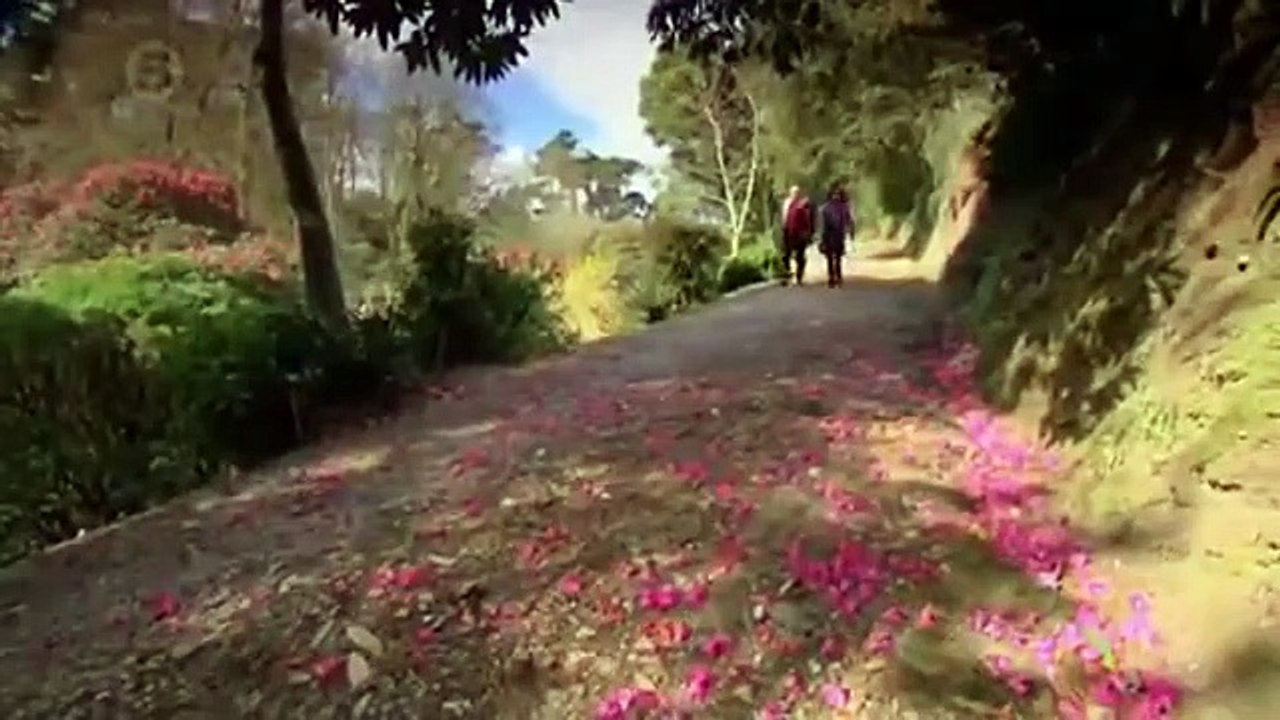 The Hotel Inspector - Se9 - Ep06 HD Watch