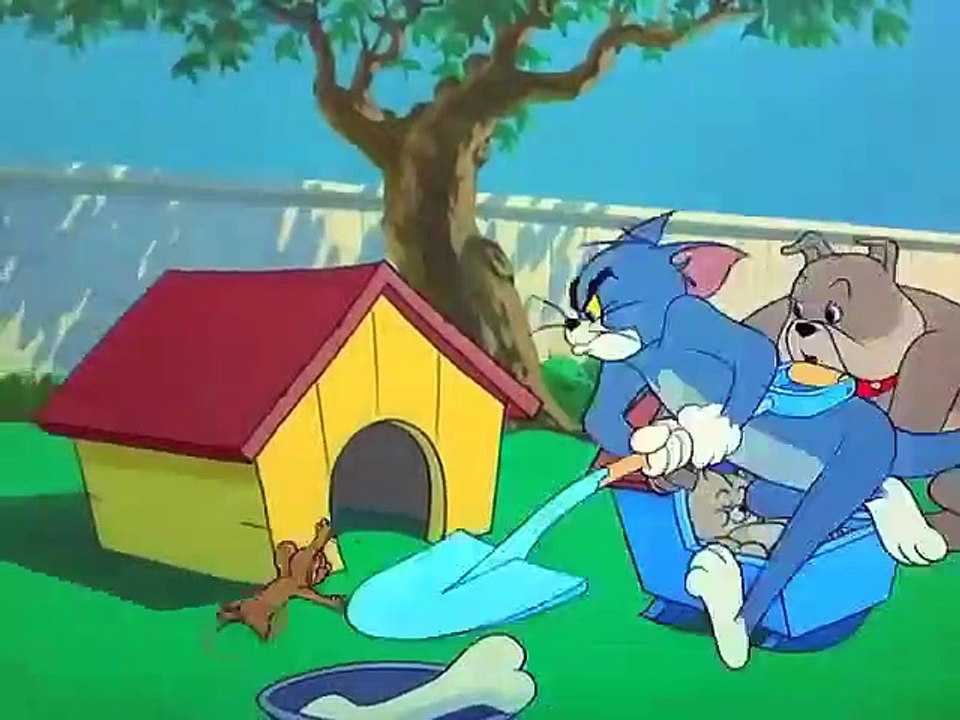 Tom and jerry - volume 4 - ep16 - hic-cup pup hd watch
