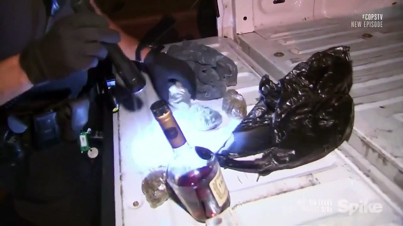 Cops - Se29 - Ep17 HD Watch