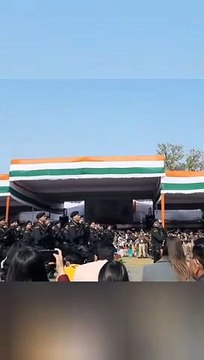 nsg commando parede__ nsg commando lover #shorts #nsgcommando #nsg #commando