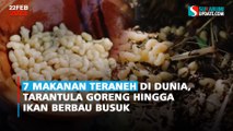 7 Makanan Teraneh di Dunia, Tarantula Goreng hingga Ikan Berbau Busuk