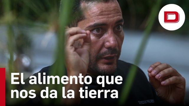 El bosque comestible que echa raíces en Ecuador