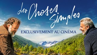 LES CHOSES SIMPLES - Actuellement au cinéma !