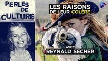 Perles de Culture n°374 avec Reynald Secher - Vaincre ou mourir : Les raisons de leur colère
