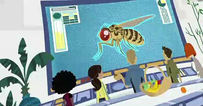 Wild Kratts Wild Kratts S04 E018 – Animals Who Live to be 100 Years Old
