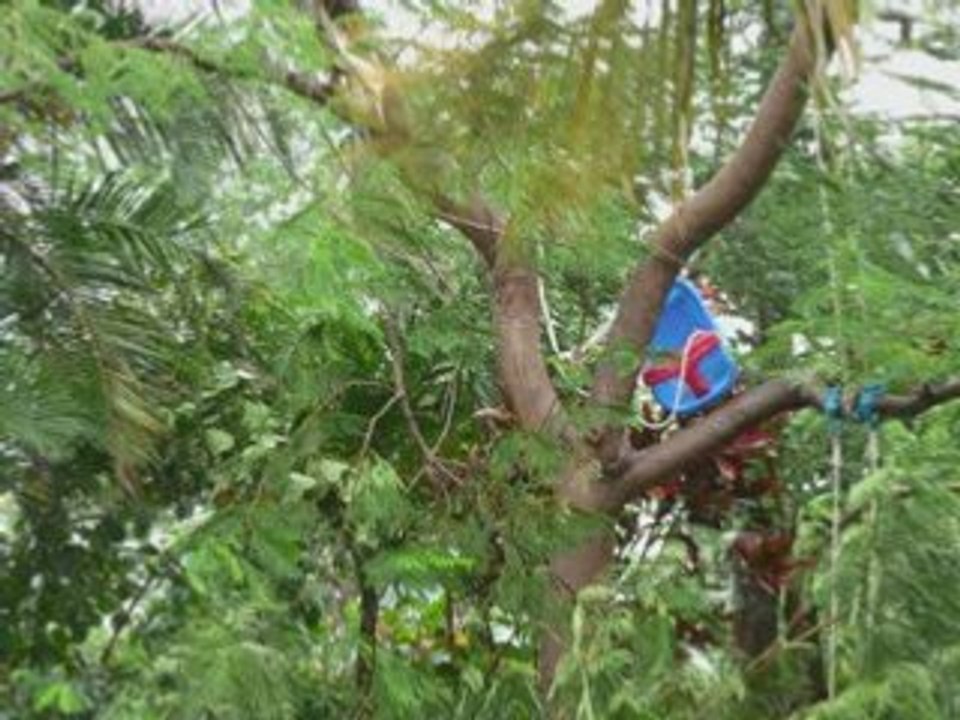 SansTitre_0005
