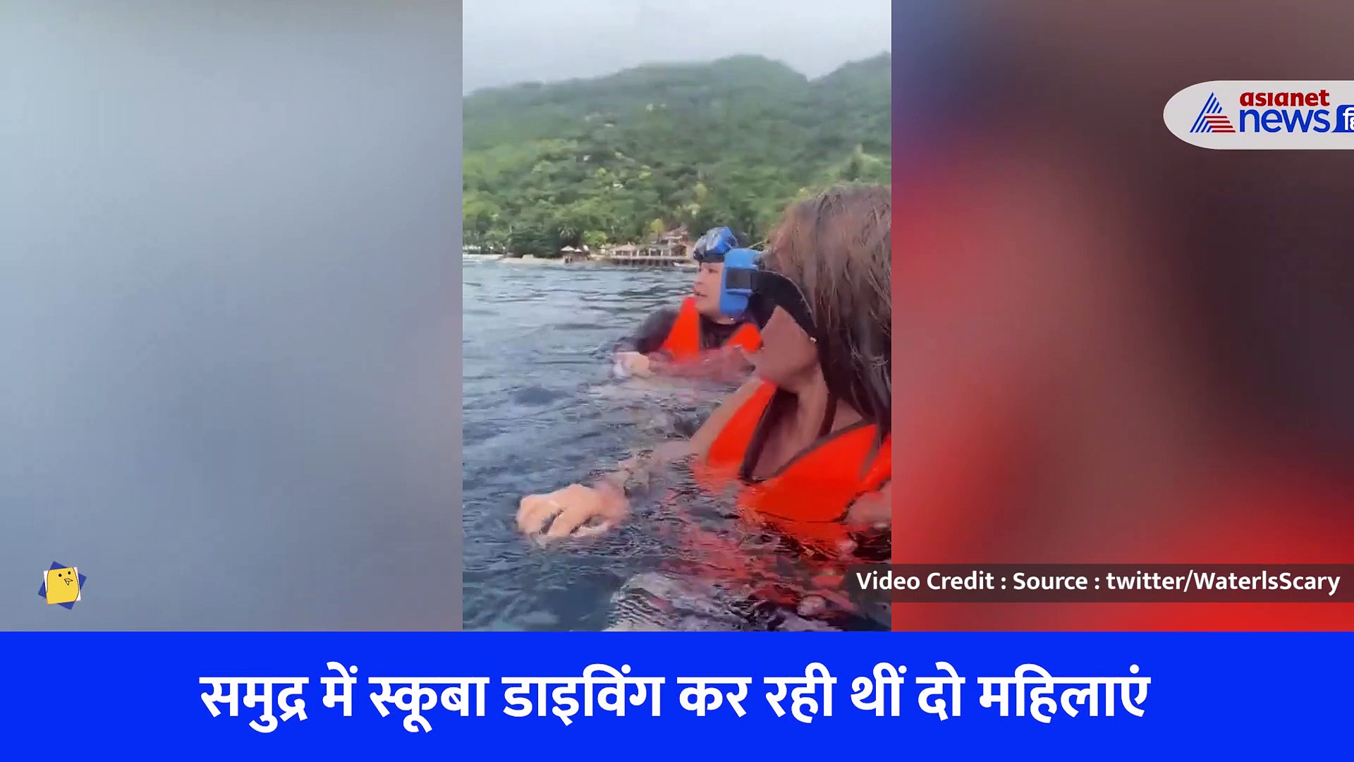 रोंगटे खड़े कर देने वाला Video, स्कूबा डाइविंग कर रही थीं दो महिलाएं तभी पानी के नीचे दिखा खौफनाक दृश्य