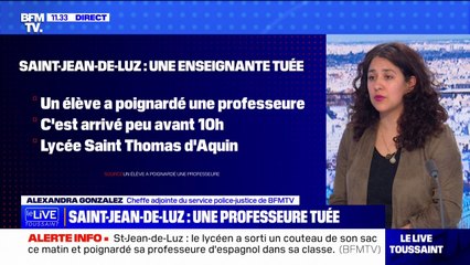 Descargar video: Saint-Jean-de-Luz: l'enseignante poignardée par un élève est décédée