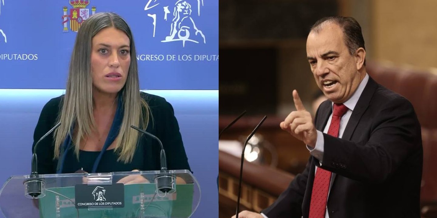 Vea en bucle el patriótico rapapolvo de Adanero a la diputada indepe que ultrajó la bandera de España