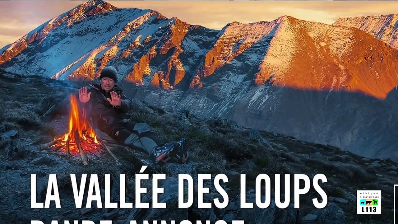 LA FACE CACHÉE DU FILM “MARCHE AVEC LES LOUPS”  Marche avec les loups e...