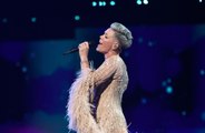 Pink takes inspiration from Tina Turner for her live shows