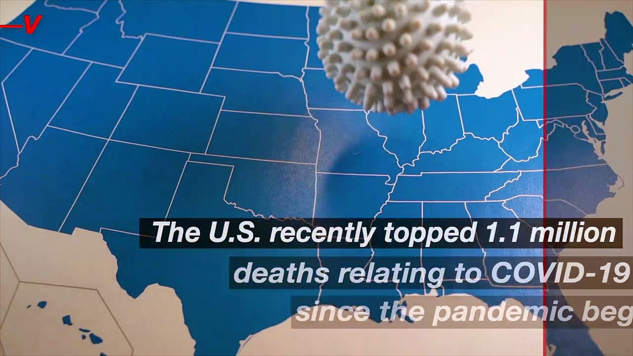A Look Into the Covid-19 Death Toll and Why It’s Still Rising