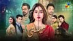 Meesni - Episode 37 Teaser ( Bilal Qureshi, Mamia Faiza Gilani ) 20th February 2023 - HUM TV