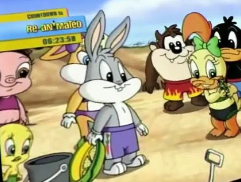 Baby Looney Tunes Baby Looney Tunes S02 E011 A Turtle Named Myrtle /  There's Nothing Like a Good Book - video Dailymotion
