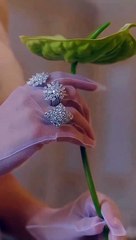 Esra bilgic never up