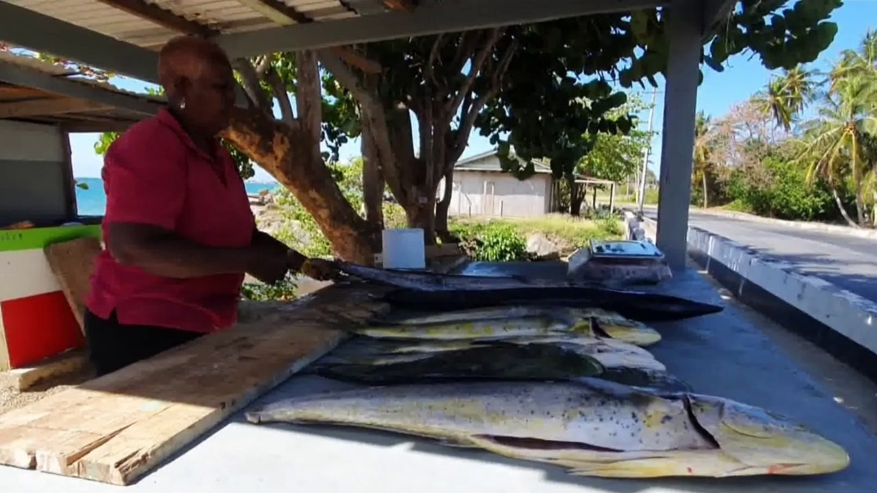 FISH PRICES