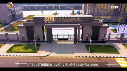 المصريين يغزون الصحراء بـ ثورة خضراء لتحقيق الآمن الغذائي