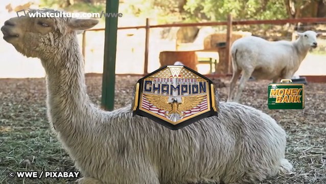 10 Bizarre WWE Experiments You Totally Don't Remember