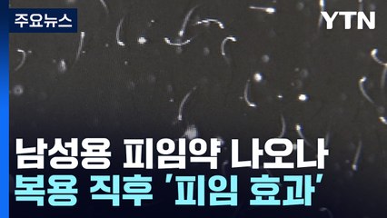 남성용 피임약 나오나... 3시간 동안 정자 '동작그만' / YTN