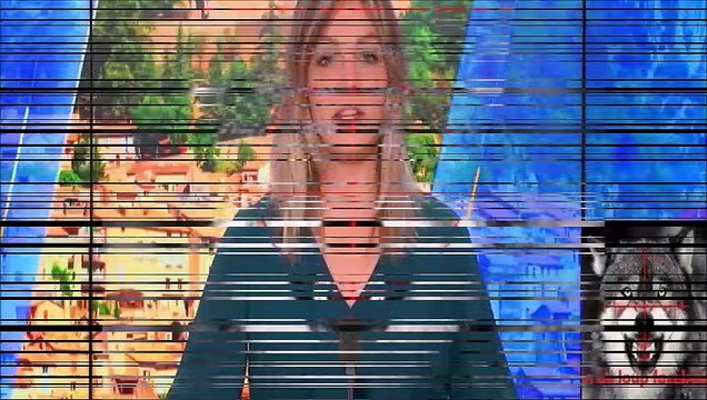 Une vingtaine de brebis tuées à Auzet après une attaque de loup