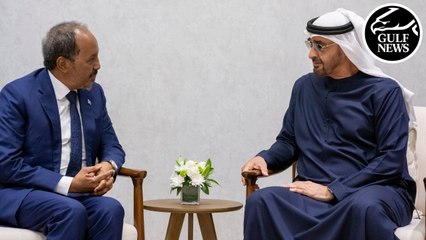 UAE President meets with Somali counterpart during IDEX 2023