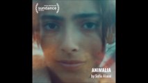 Animalia - Official Teaser © 2023 Sci-Fi, Thriller
