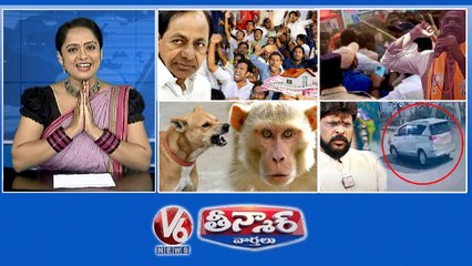 KCR-Tax Hike On Public | Dogs And Monkey- Public Panic | Vivek Venkataswamy-BRS Clash | Chikoti Praveen-Car Robbery | V6 Teenmaar