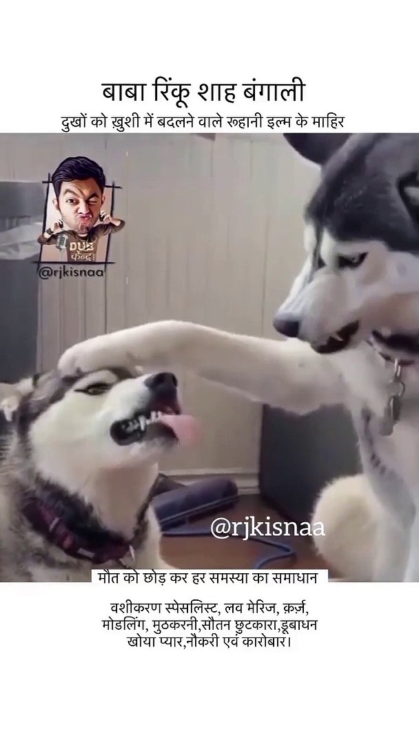 Dub Kendra Hindi funny dubbing