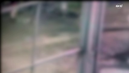 Jovem é morto com facada na volta do Carnaval em BH