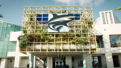 Grooming This Sea Otter Is Pretty Tough But Very Necessary!