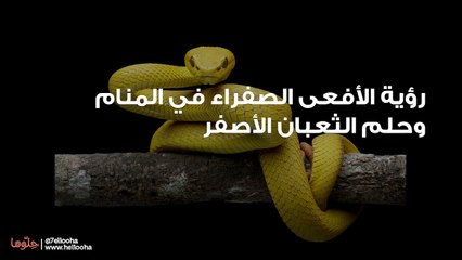 رؤية الأفعى الصفراء في المنام وحلم الثعبان الأصفر