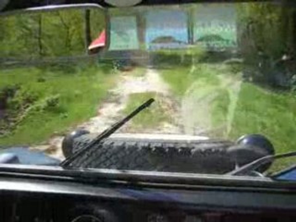 Buggy_dans_les_bois