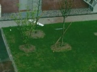 THEMOVIEOFTHEYEAR 21 mars 2008