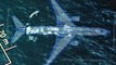 MH370: Netflix widmet dem mysteriösen Verschwinden des Malaysia Airlines-Flugs eine Doku