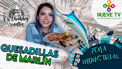¡De Sinaloa para San Luis Potosí! Quesadillas de Marlín