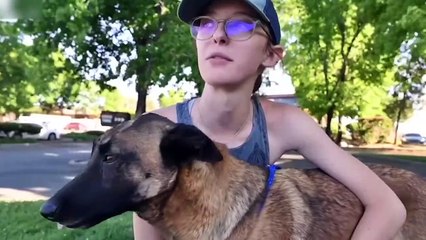 12 Times Animals Saved Human Lives