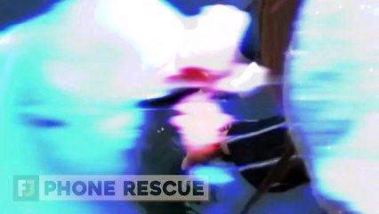 12 Animals That Can Do The Impossible