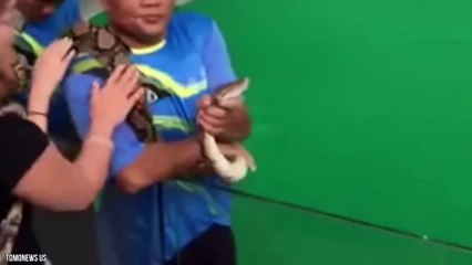 12 Dumbest Zoo Guests Caught On Camera What Were They Thinking