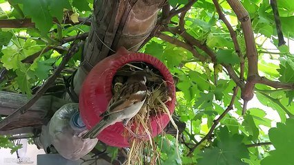 10 Worst Animal Parents In The World