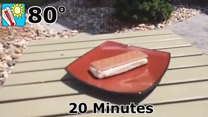 Walmart Ice Cream Sandwich Won't Melt!