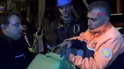 Diyarbakır'da hasarlı binadaki kedi böyle kurtarıldı