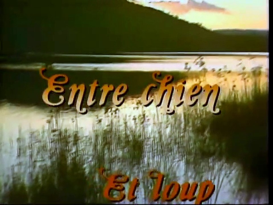 Entre chien et loup S5 E05