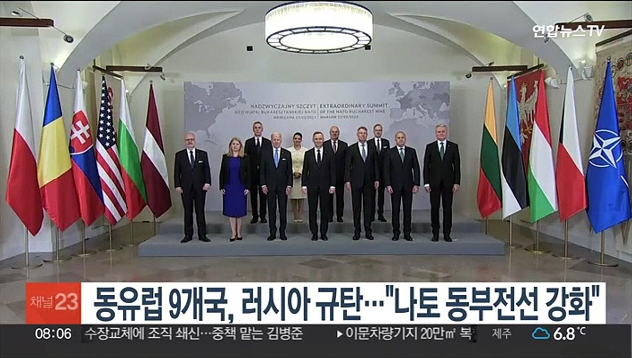 동유럽 9개국, 러시아 규탄…"나토 동부전선 강화"