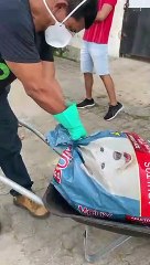 Tutor recebe corpo de cão que passou por eutanásia em Maceió