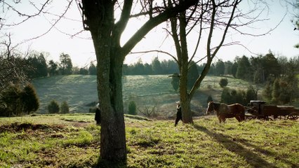 Beverly Lewis' The Confession - Trailer