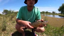 Encontramos el ESTANQUE de las TARARIRAS, PESCA con Señuelo, Carnada y Boya