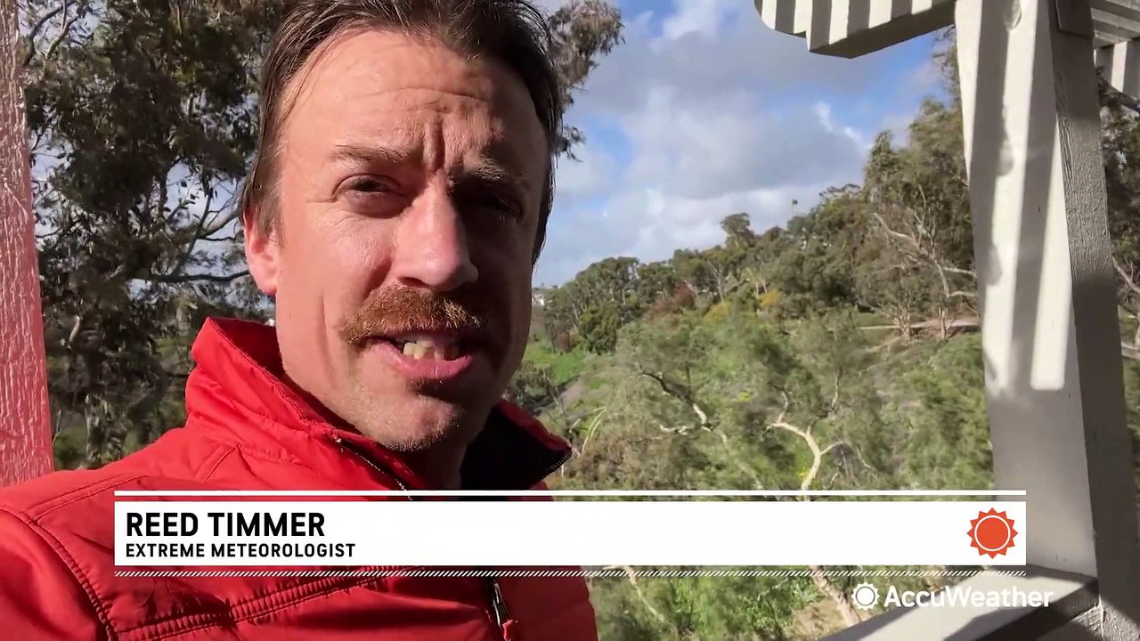 Strong onshore flow leads to intense tides and wind damage in Southern California