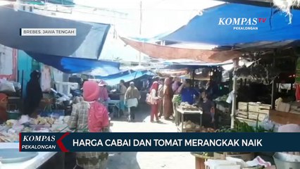 Harga Cabai dan Tomat Merangkak Naik
